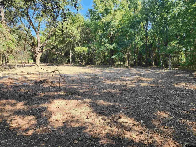 a view of a yard with large trees