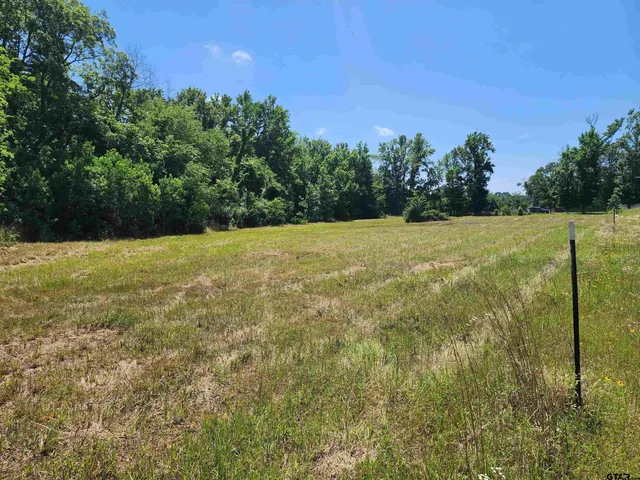 a view of an outdoor space and a yard