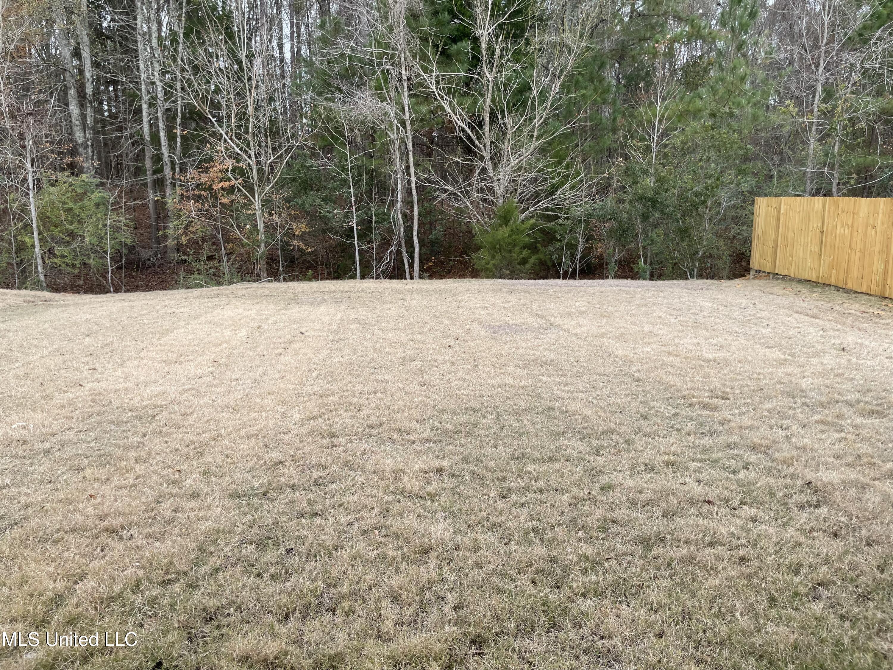 504 Stone Brook Place Brandon, MS 39042 - Photo 10 of 10 IMG_1515