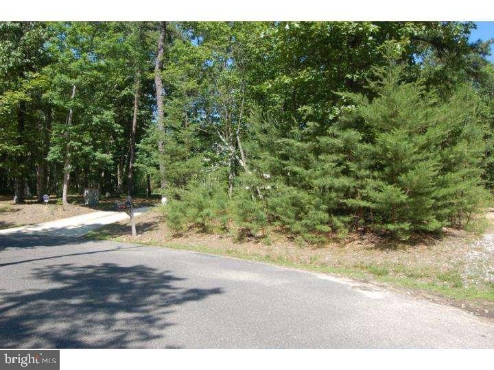 0 Ongs Hat Road Southampton, NJ 08088 - Photo 4 of 5