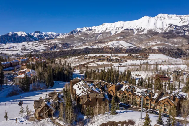 a view of a with large trees