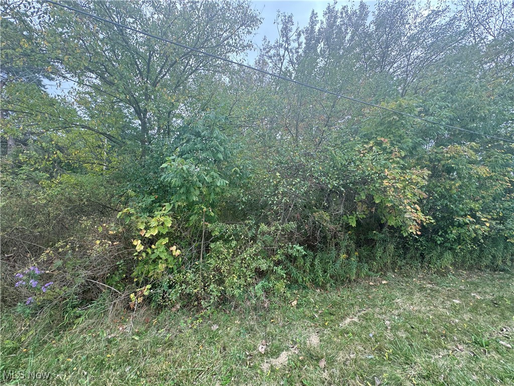 Fenn Road Medina, OH 44256 - Photo 7 of 10 View of nature