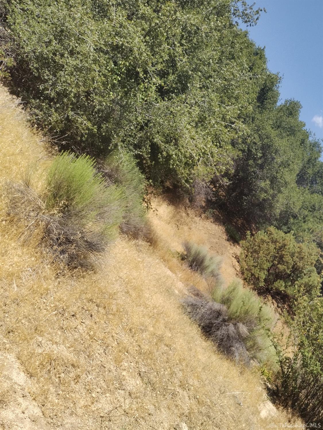 0 Pine Spring Road Caliente, CA 93518 - Photo 15 of 34 Gallery Image 15