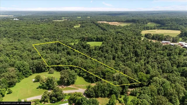 a view of a city with lush green forest