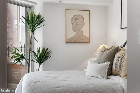 a bedroom with a large bed plant and a window
