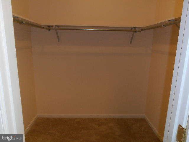 8807 Dangerfield Road Clinton, MD 20735 - Photo 16 of 28 Master Walk In closet