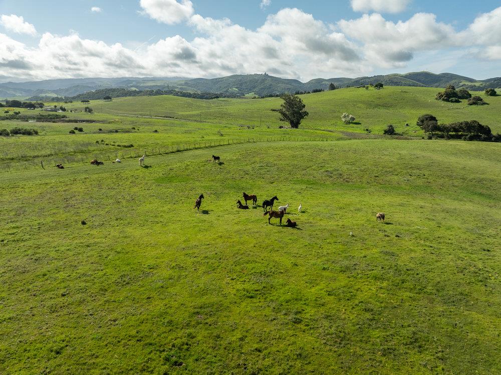 600 Rocks Road San Juan Bautista, CA 95045 - Photo 13 of 28