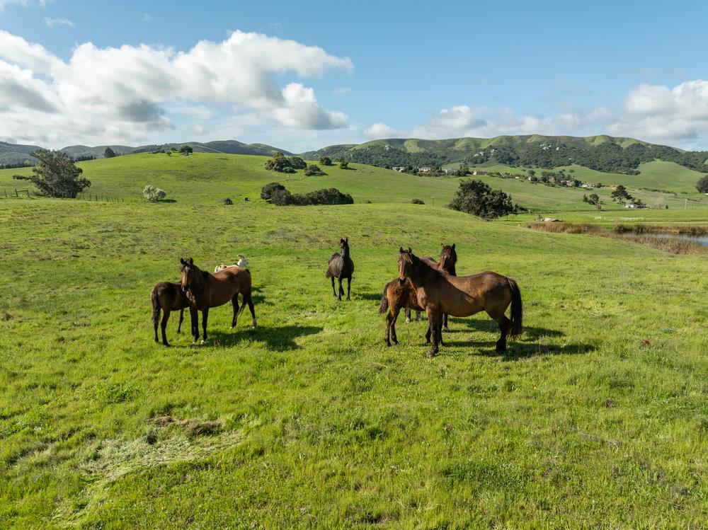600 Rocks Road San Juan Bautista, CA 95045 - Photo 15 of 28