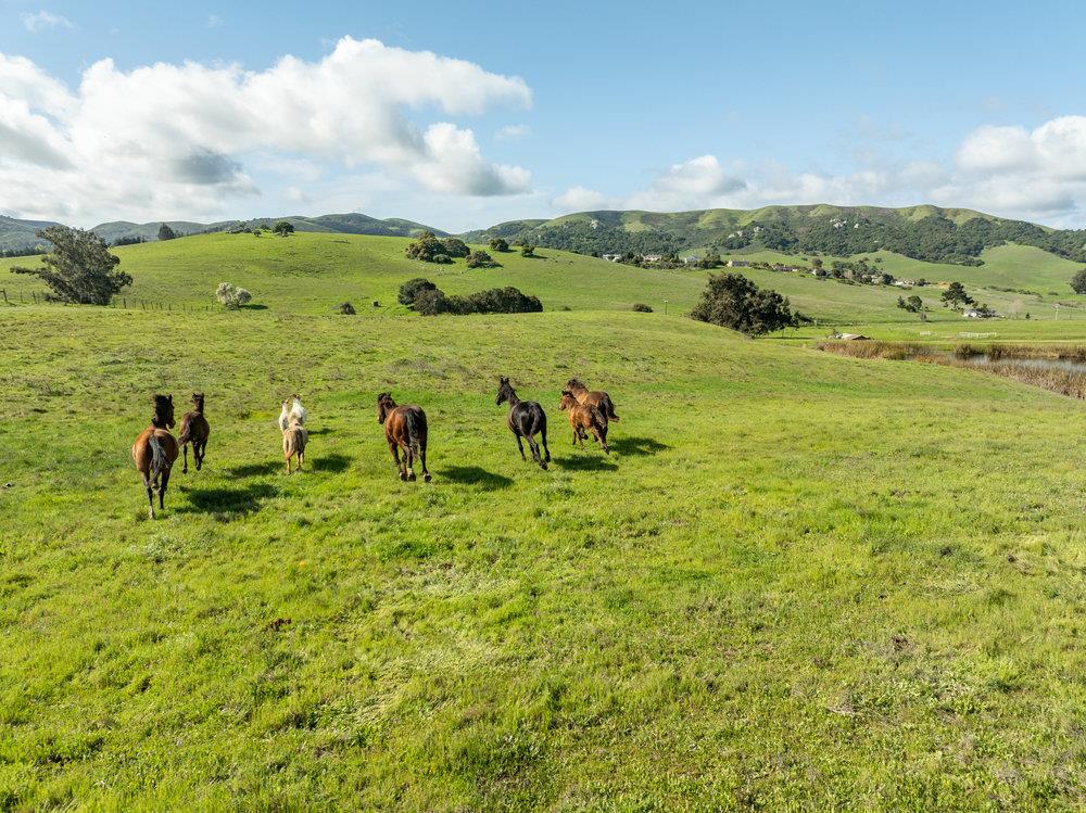 600 Rocks Road San Juan Bautista, CA 95045 - Photo 16 of 28