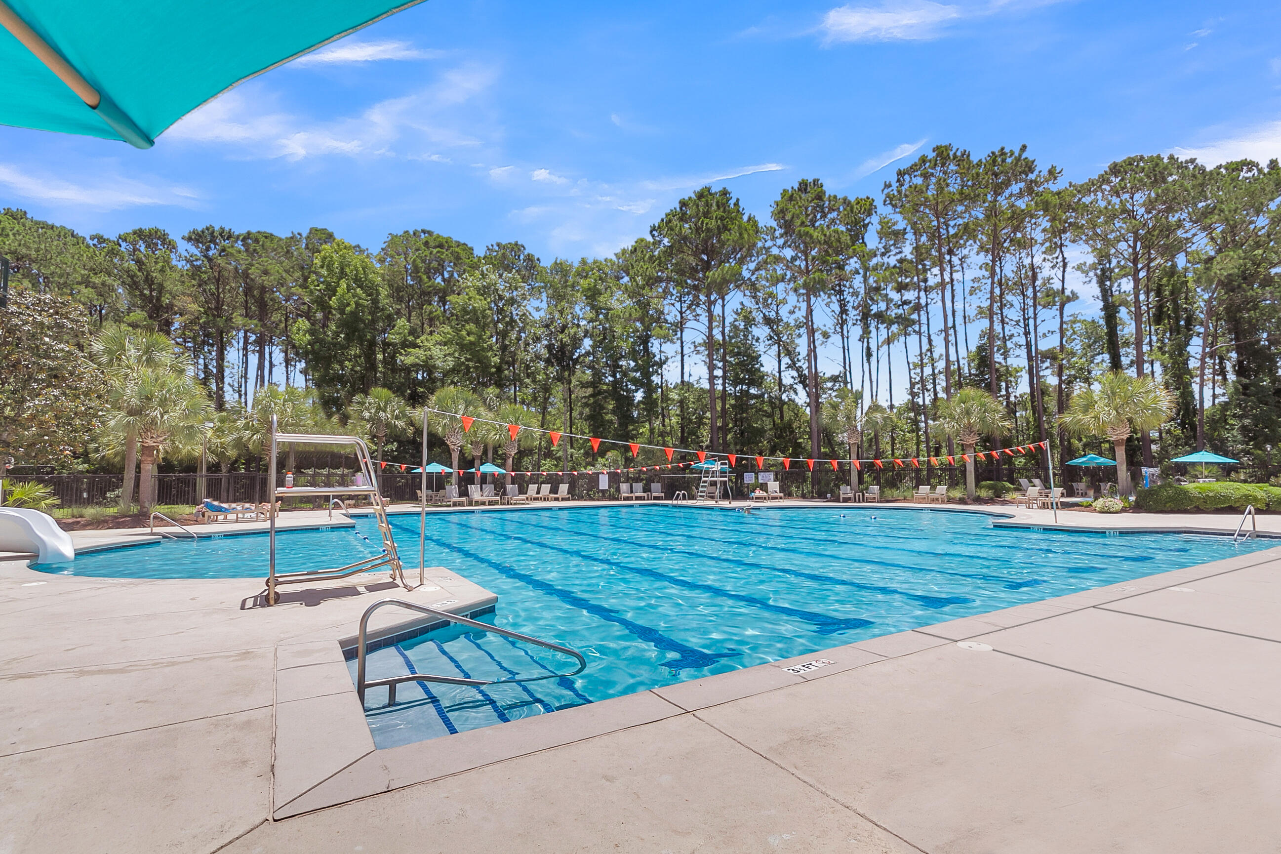 1627 Collier Street Mount Pleasant, SC 29466 - Photo 56 of 63 Pool