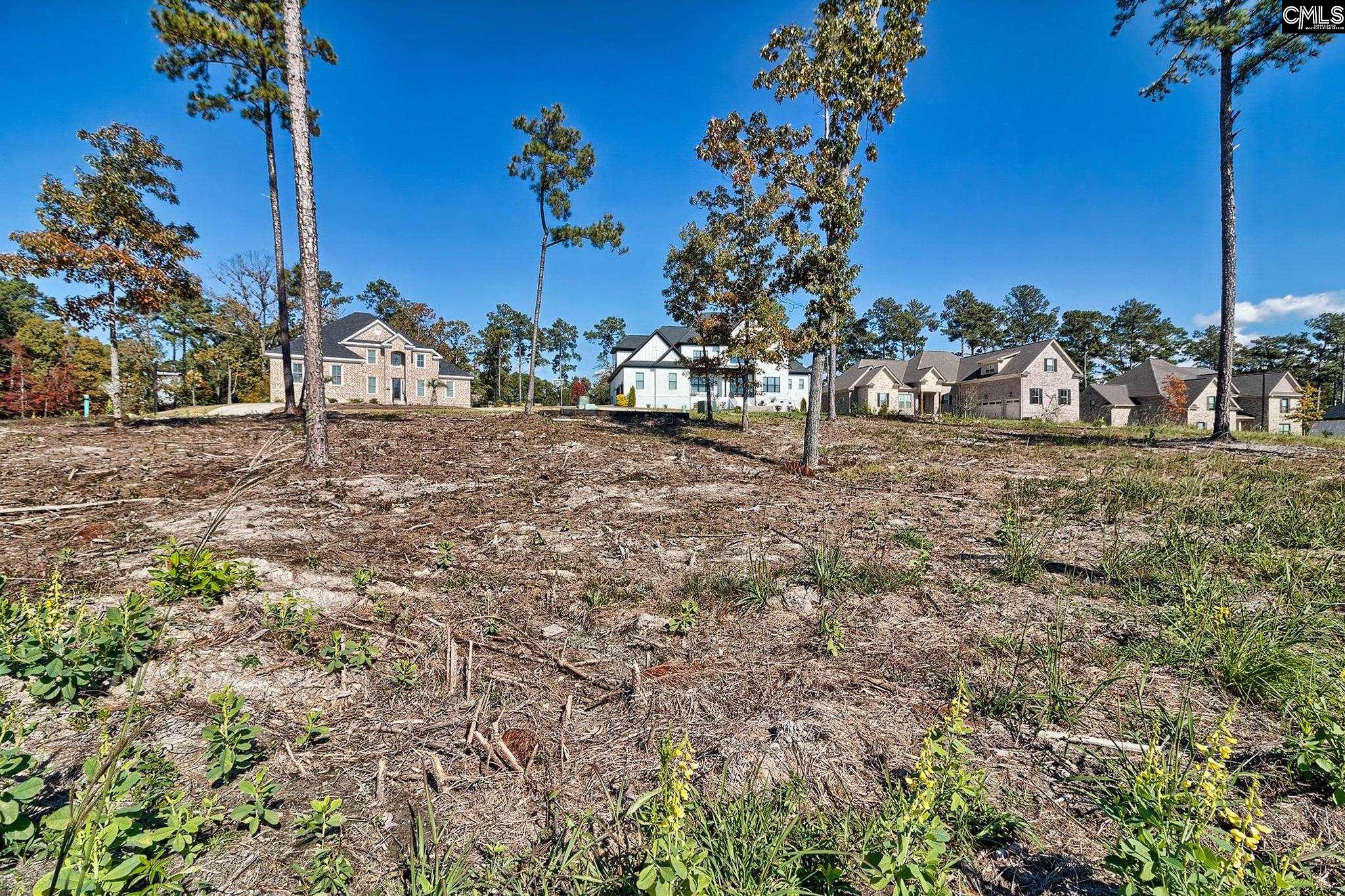 183 Coopers Nursery Road Elgin, SC 29045 - Photo 4 of 14