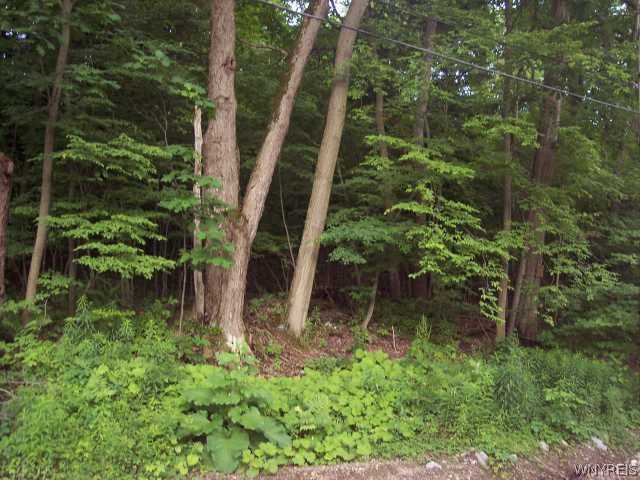 0 Scoby Hill Road Springville, NY 14141 - Photo 1 of 1 Exterior Front