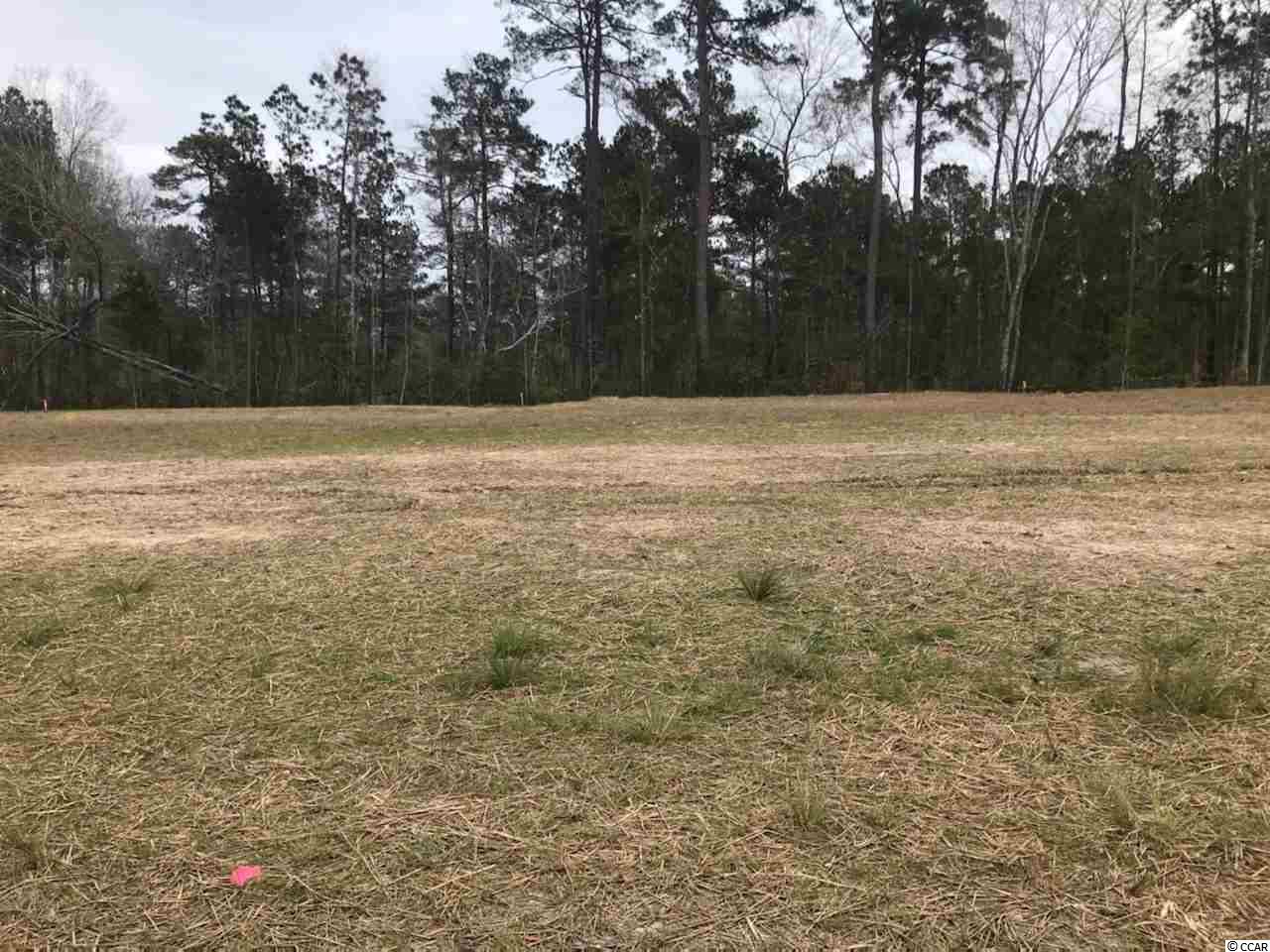364 Leste Road Myrtle Beach, SC 29588 - Photo 3 of 3 Gallery Image 3