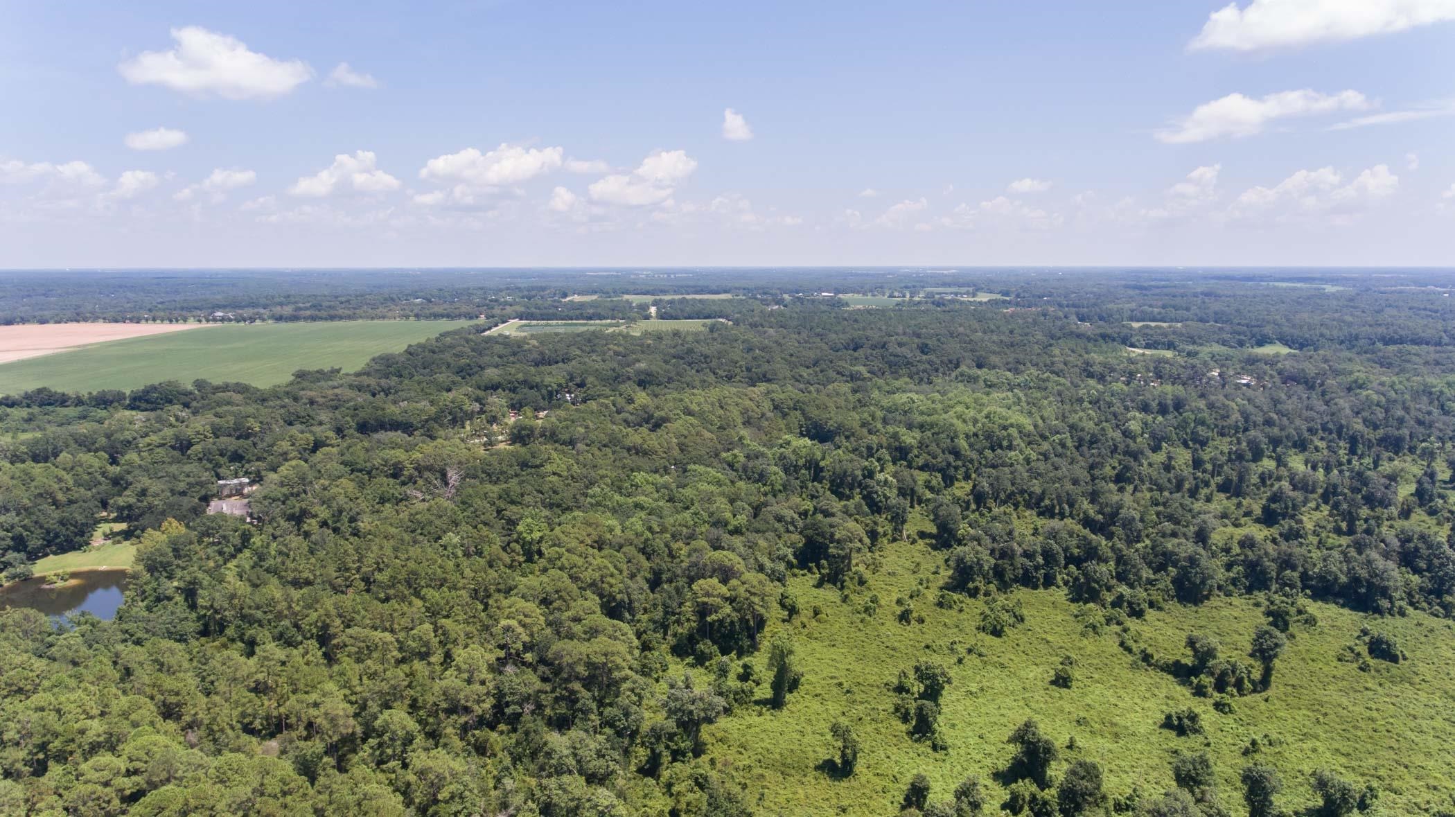 17869 River Road Summerdale, AL 36580 - Photo 79 of 79 Aerial View
