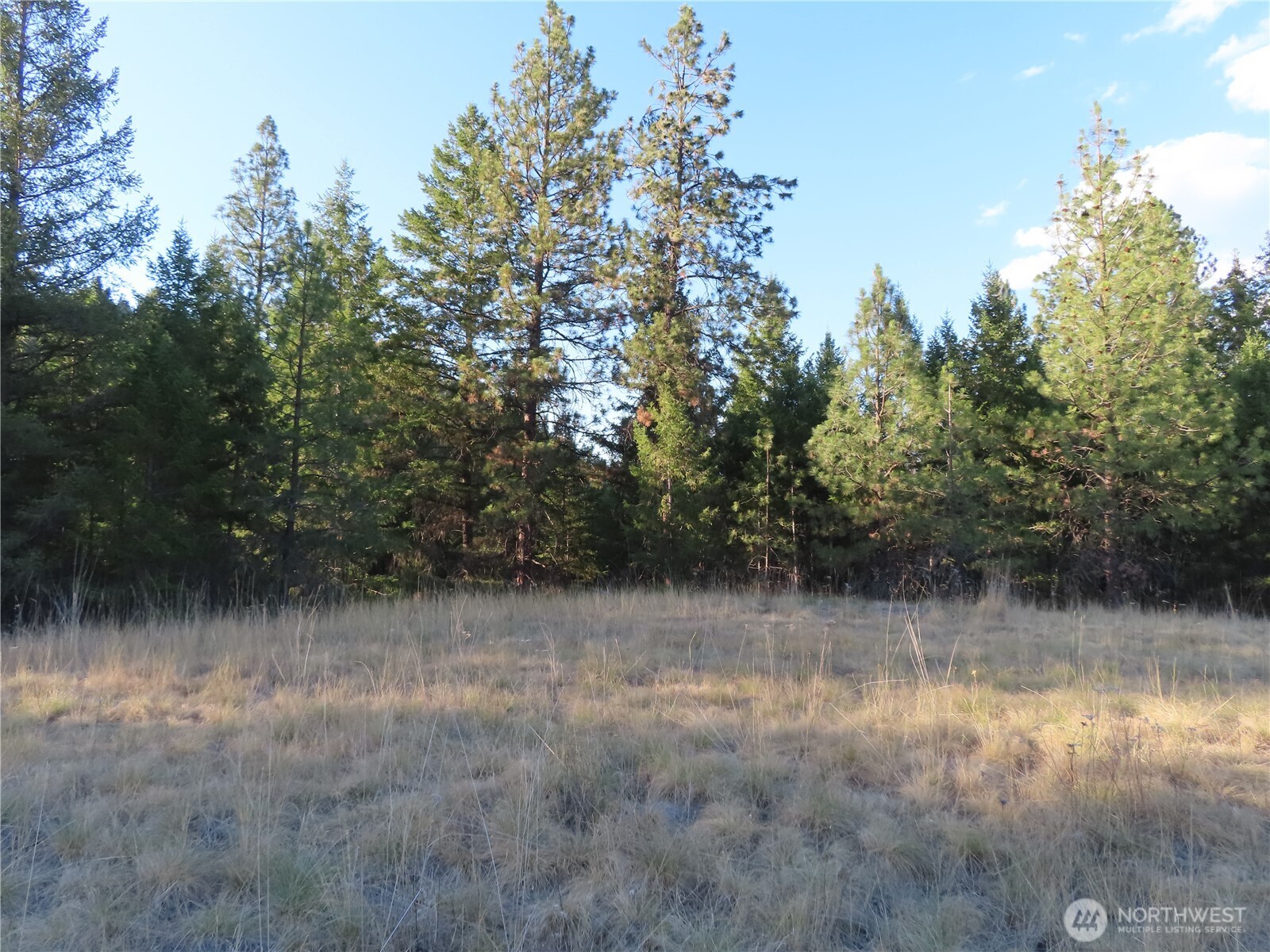 0 Toroda Creek Road Curlew, WA 99118 - Photo 11 of 28 a view of a lake view