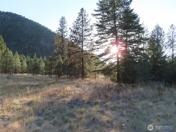 $99,900 | 0 Toroda Creek Road, Curlew, WA 99118