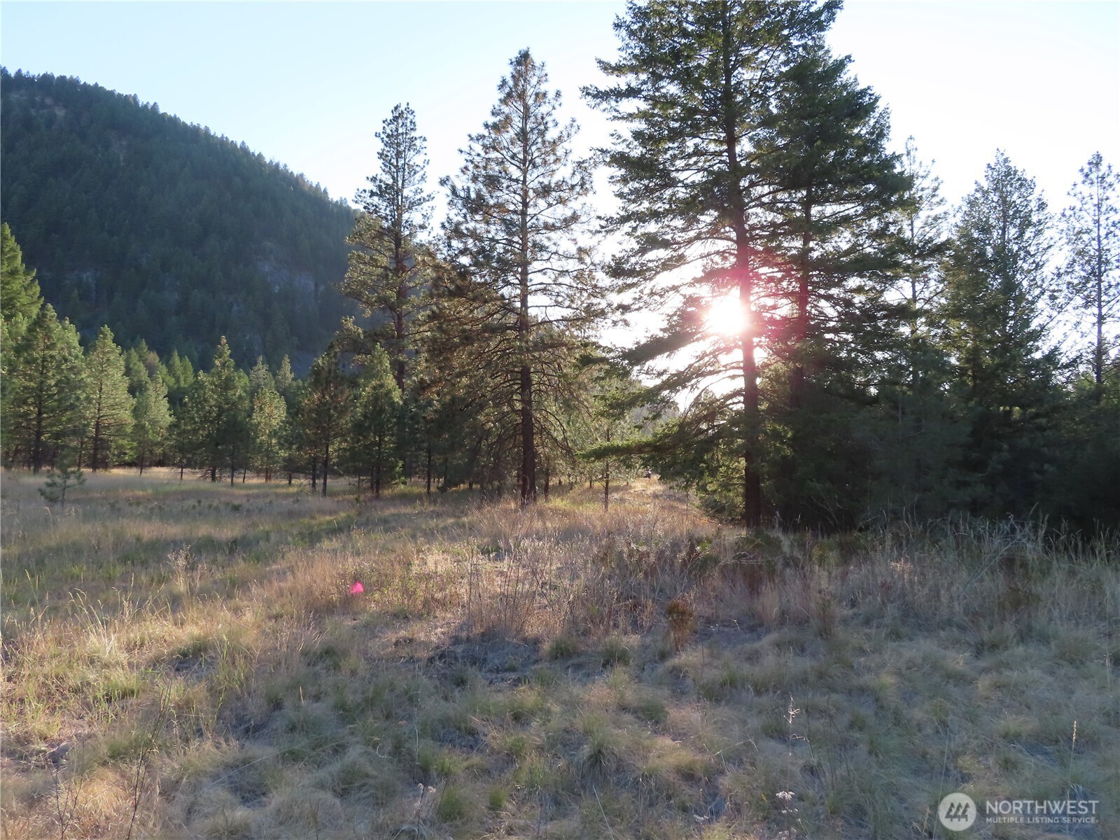 0 Toroda Creek Road Curlew, WA 99118 - Photo 12 of 28 a backyard of a house with lots of green space