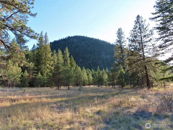 $99,900 | 0 Toroda Creek Road, Curlew, WA 99118