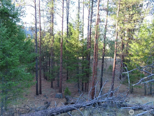 $99,900 | 0 Toroda Creek Road, Curlew, WA 99118