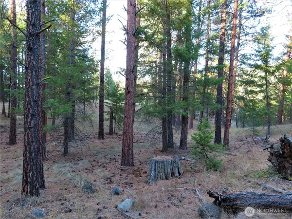 $99,900 | 0 Toroda Creek Road, Curlew, WA 99118