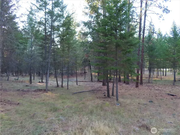 $99,900 | 0 Toroda Creek Road, Curlew, WA 99118