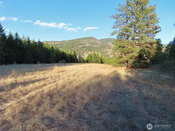 $99,900 | 0 Toroda Creek Road, Curlew, WA 99118