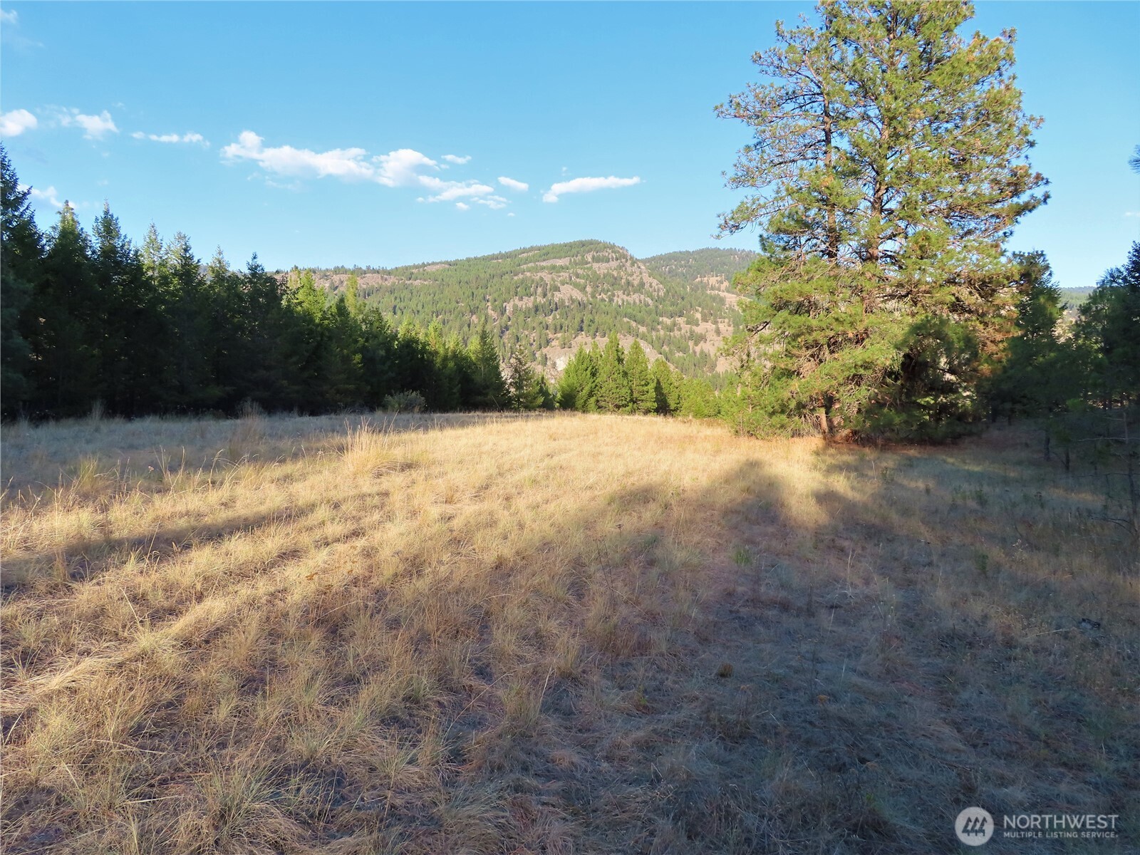0 Toroda Creek Road Curlew, WA 99118 - Photo 18 of 28 a view of hard wood floor