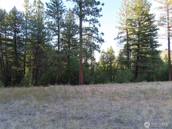 $99,900 | 0 Toroda Creek Road, Curlew, WA 99118