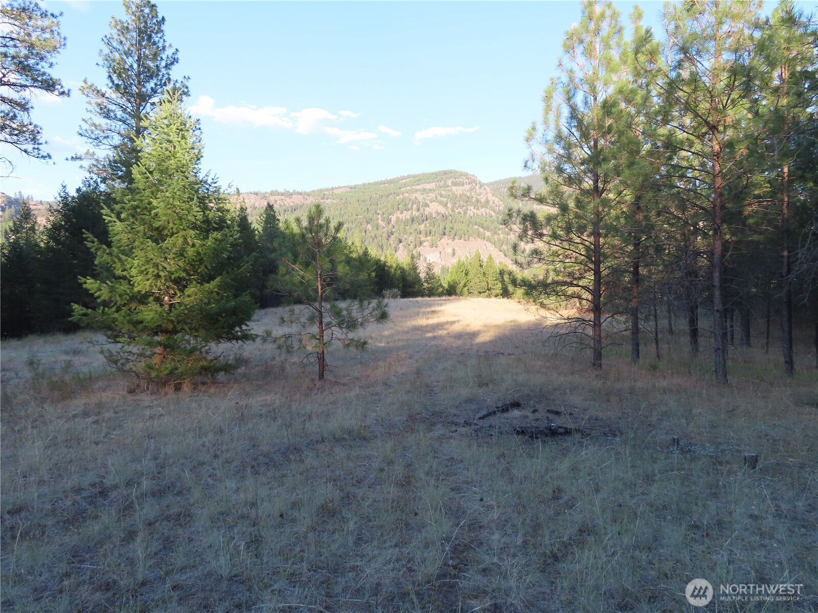 0 Toroda Creek Road Curlew, WA 99118 - Photo 20 of 28 a view of a dirt road with trees in the background
