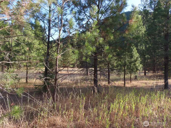 $99,900 | 0 Toroda Creek Road, Curlew, WA 99118