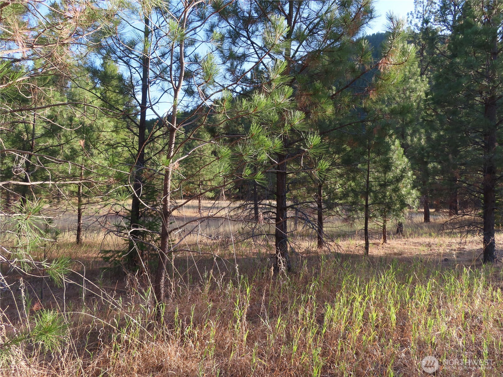 0 Toroda Creek Road Curlew, WA 99118 - Photo 2 of 28 a view of lake