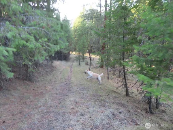 $99,900 | 0 Toroda Creek Road, Curlew, WA 99118