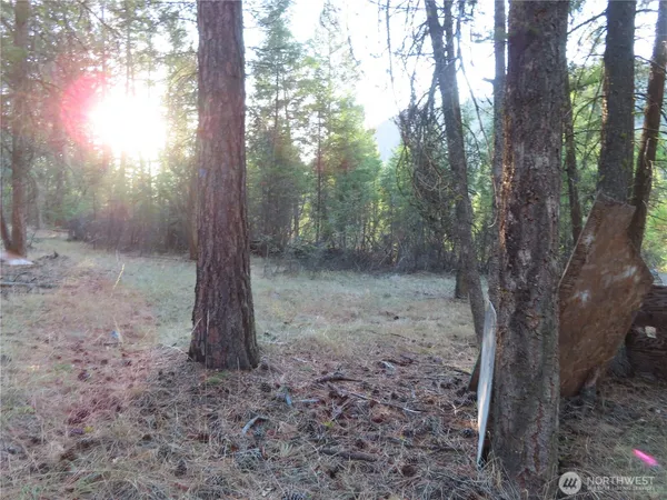 $99,900 | 0 Toroda Creek Road, Curlew, WA 99118