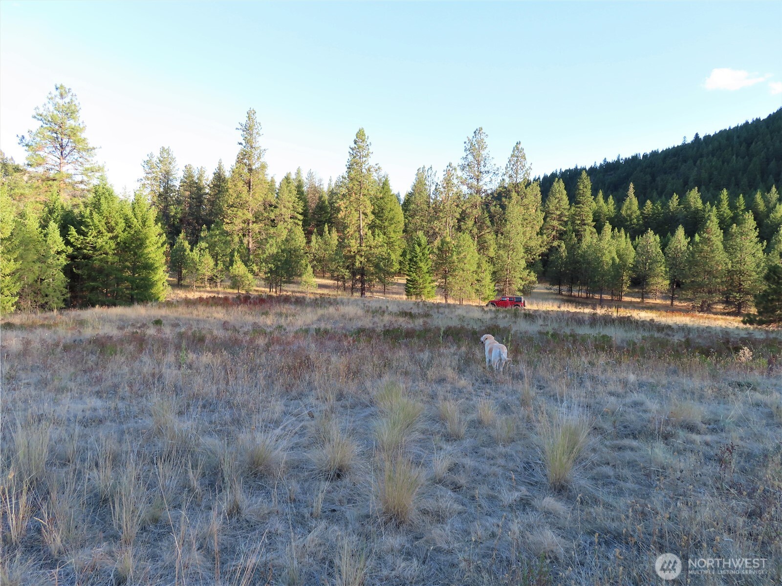0 Toroda Creek Road Curlew, WA 99118 - Photo 27 of 28 a view of road and with trees