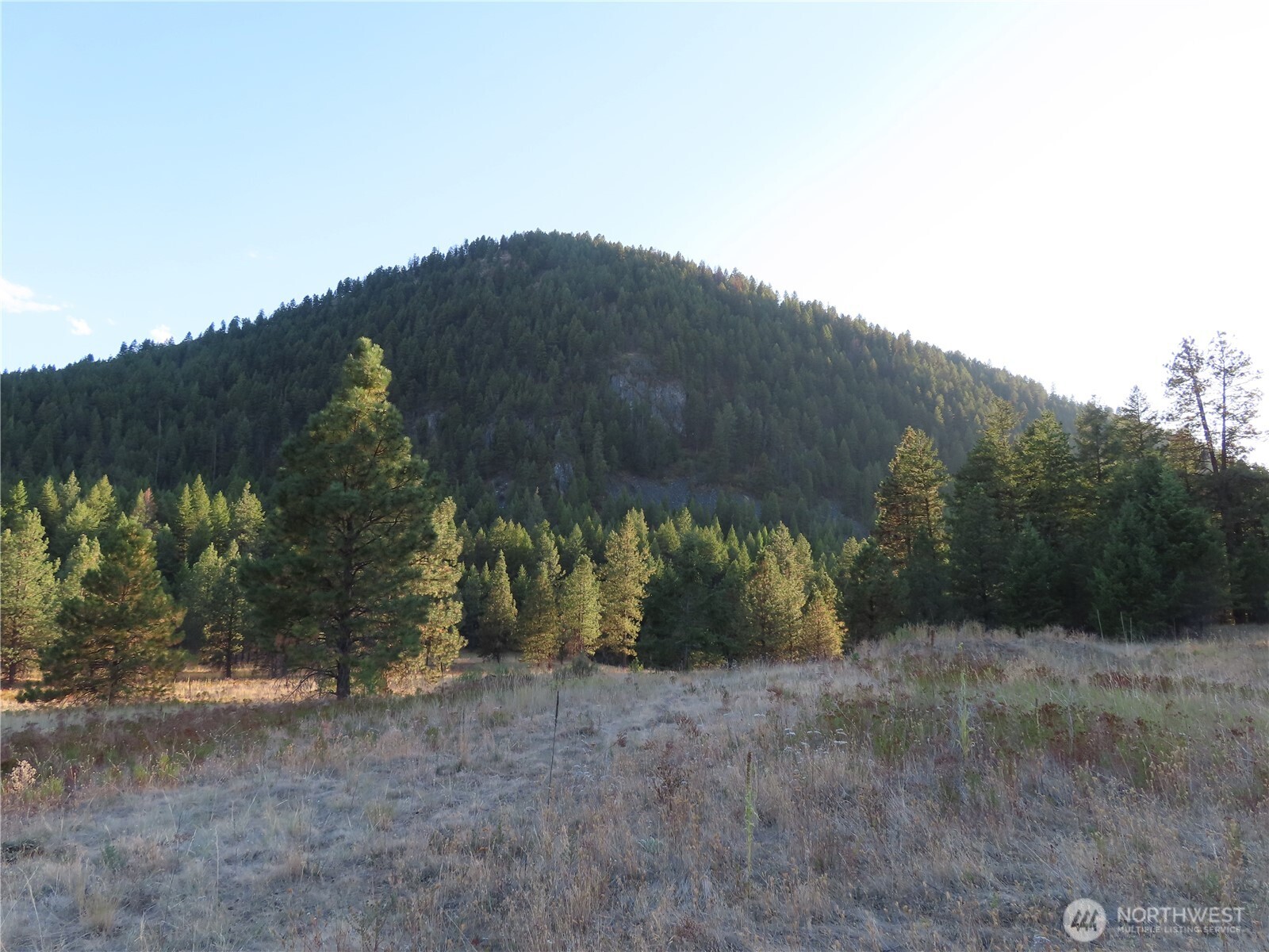 0 Toroda Creek Road Curlew, WA 99118 - Photo 28 of 28 a view of under construction area