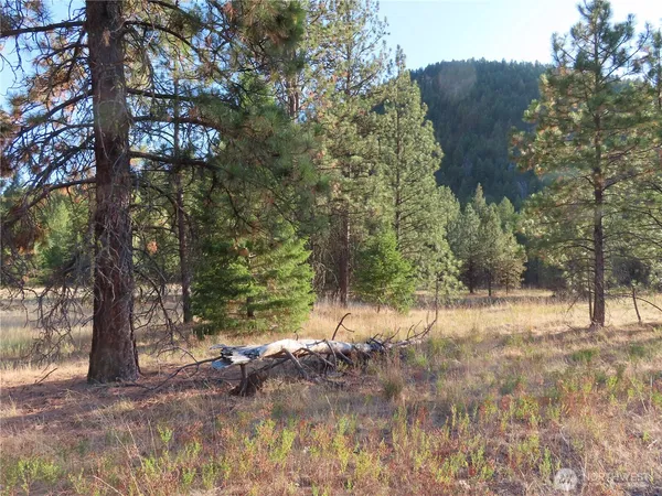 $99,900 | 0 Toroda Creek Road, Curlew, WA 99118