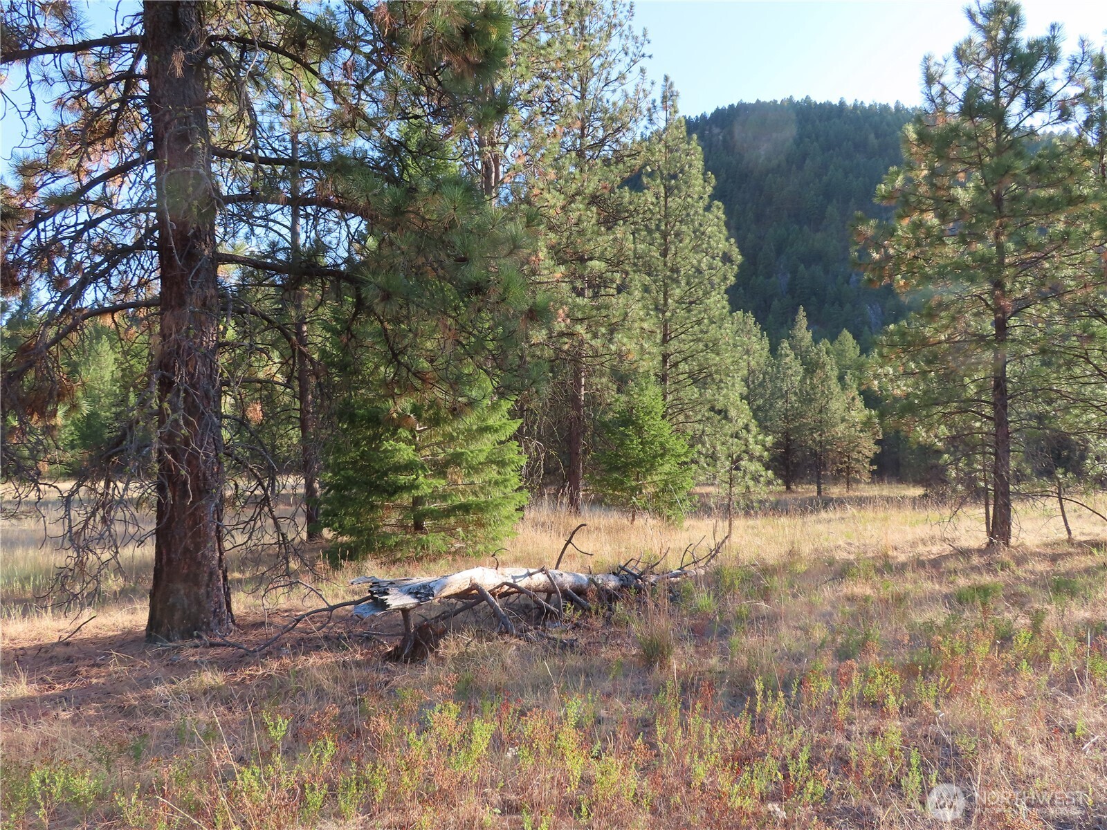0 Toroda Creek Road Curlew, WA 99118 - Photo 4 of 28 a view of snow on a field