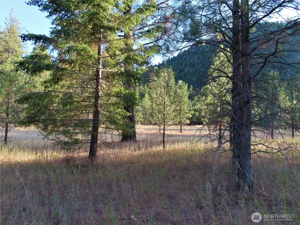 $99,900 | 0 Toroda Creek Road, Curlew, WA 99118