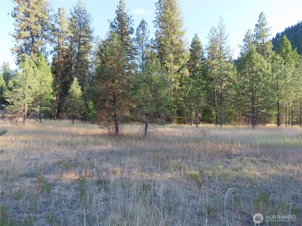 $99,900 | 0 Toroda Creek Road, Curlew, WA 99118