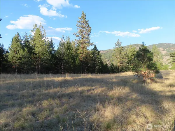 $99,900 | 0 Toroda Creek Road, Curlew, WA 99118