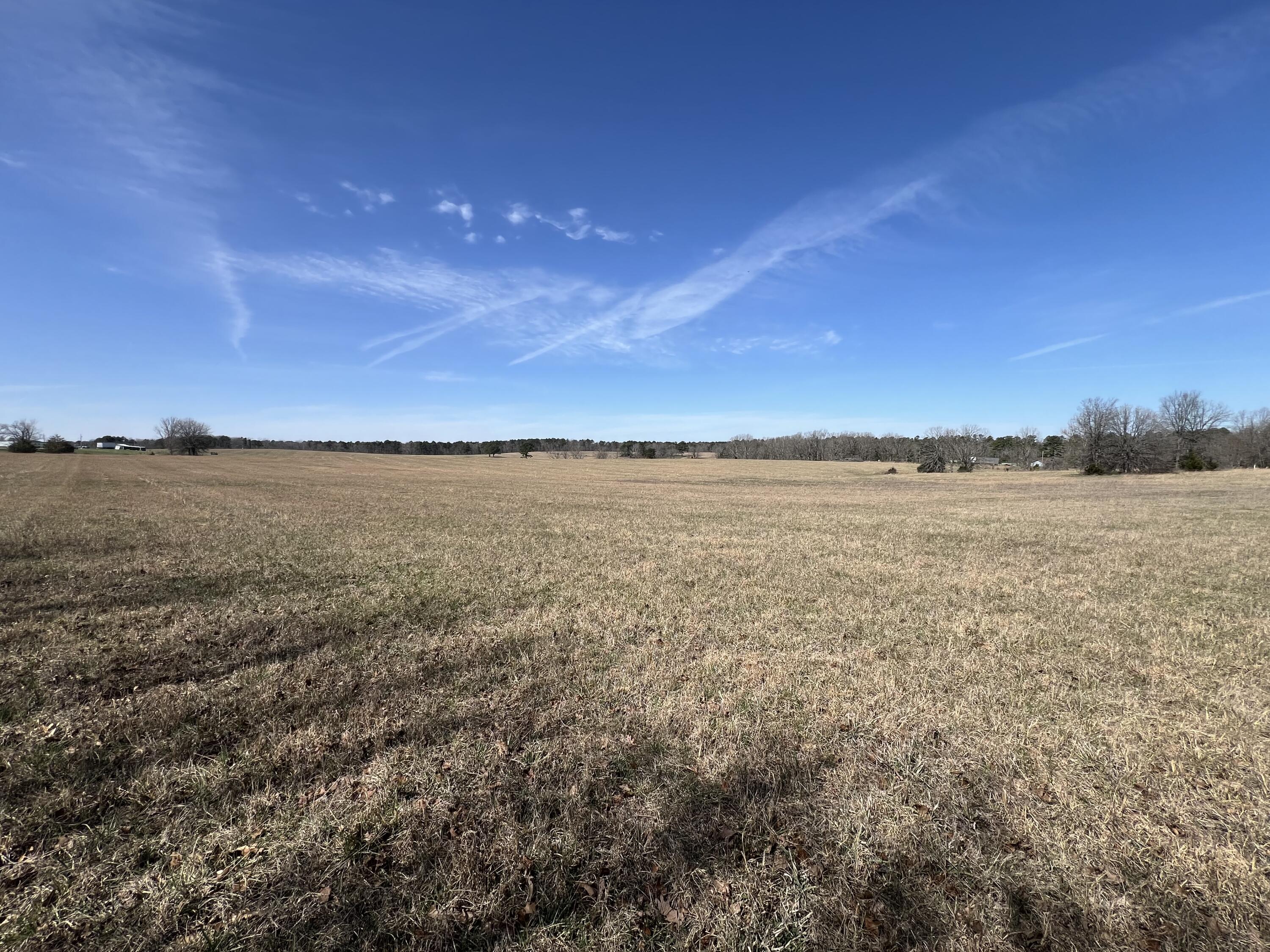 23813 State Rte Z Summersville, MO 65571 - Photo 67 of 92 IMG_4963