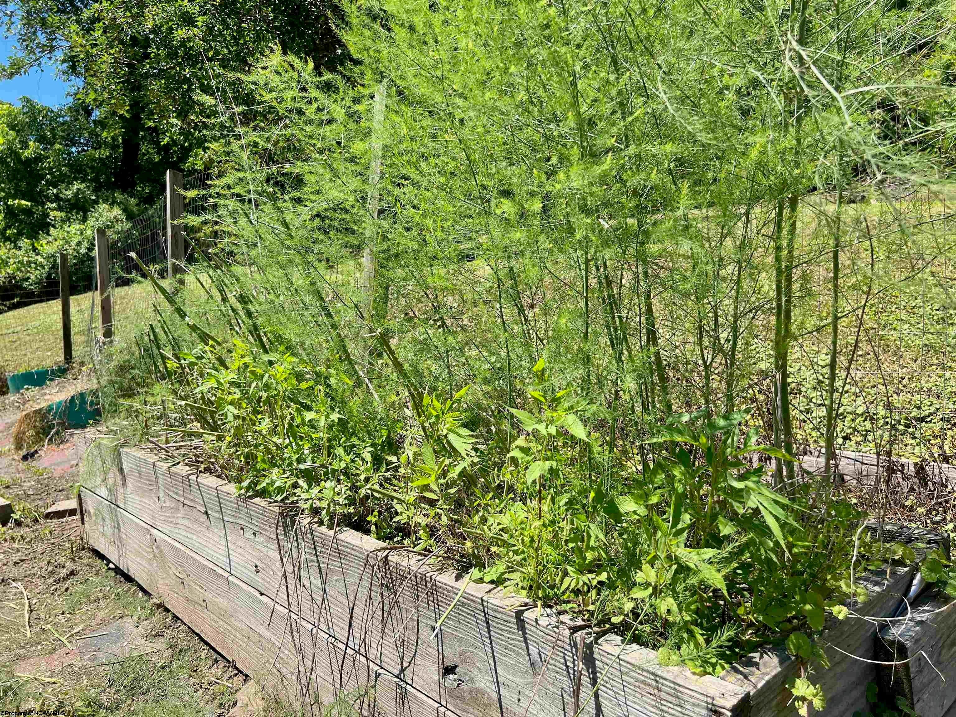 862 3 Lick Road Orlando, WV 26412 - Photo 37 of 49 Gallery Image 37