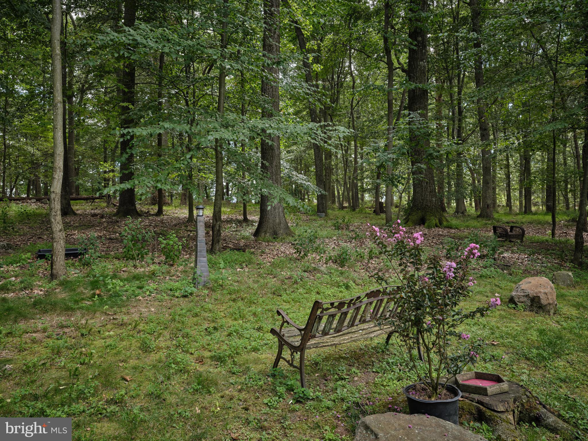 7000 Ely Road New Hope, PA 18938 - Photo 37 of 44 a view of backyard with green space
