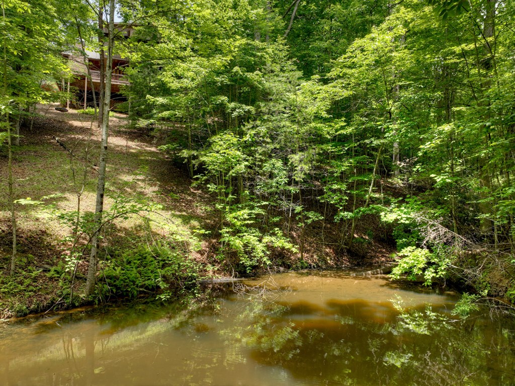 263 Cabbage Patch Morganton, GA 30560 - Photo 12 of 75 Gallery Image 12