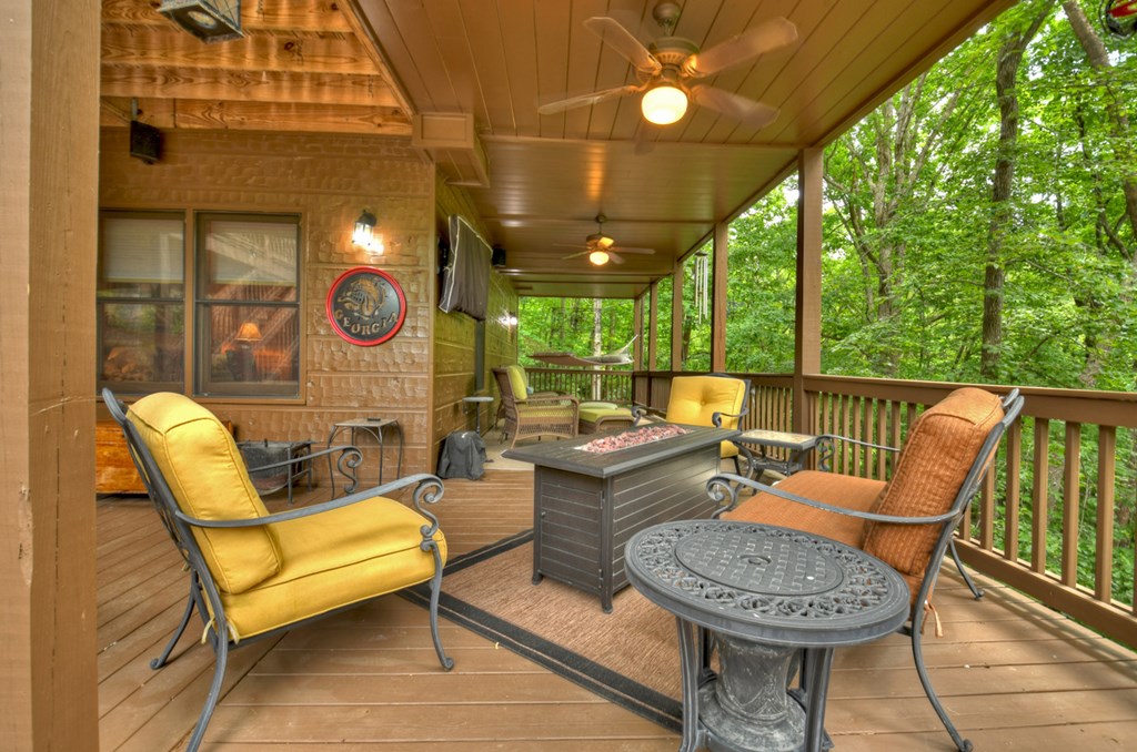 263 Cabbage Patch Morganton, GA 30560 - Photo 48 of 75 Gallery Image 48