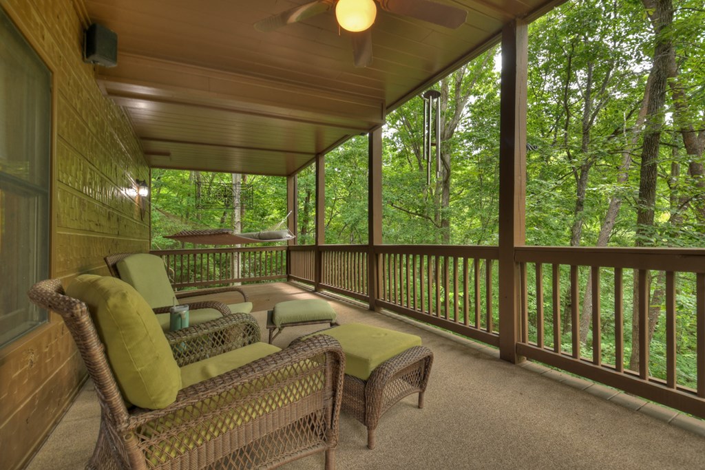 263 Cabbage Patch Morganton, GA 30560 - Photo 49 of 75 Gallery Image 49