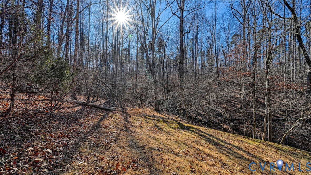 398 Geranium Road Ruckersville, VA 22968 - Photo 38 of 39