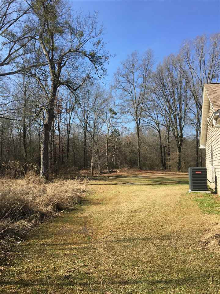 141 Mink Branch Road Pelahatchie, MS 39145 - Photo 31 of 36 Photo 32