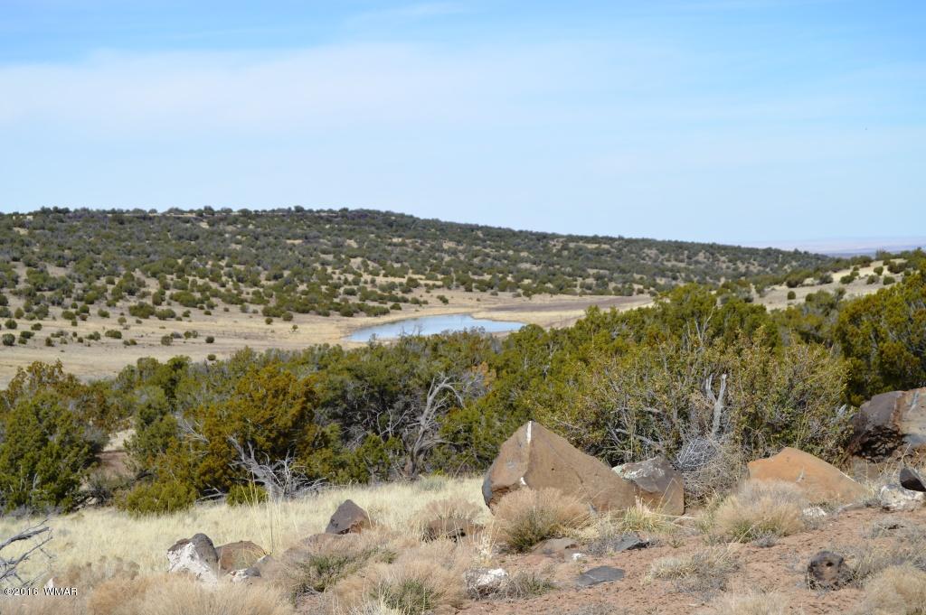 Lot 48 Windsor Valley Ranch Concho, AZ 85924 - Photo 2 of 9
