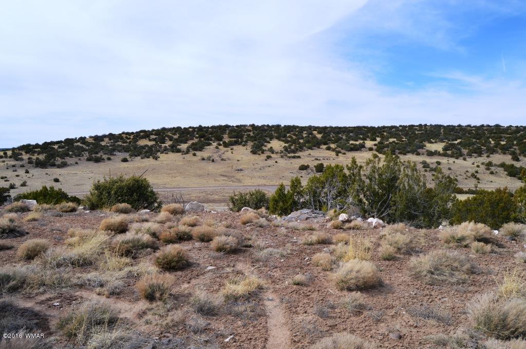 Lot 48 Windsor Valley Ranch Concho, AZ 85924 - Photo 3 of 9